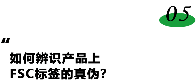 FSC標題05