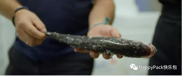 魚皮的環(huán)保用途